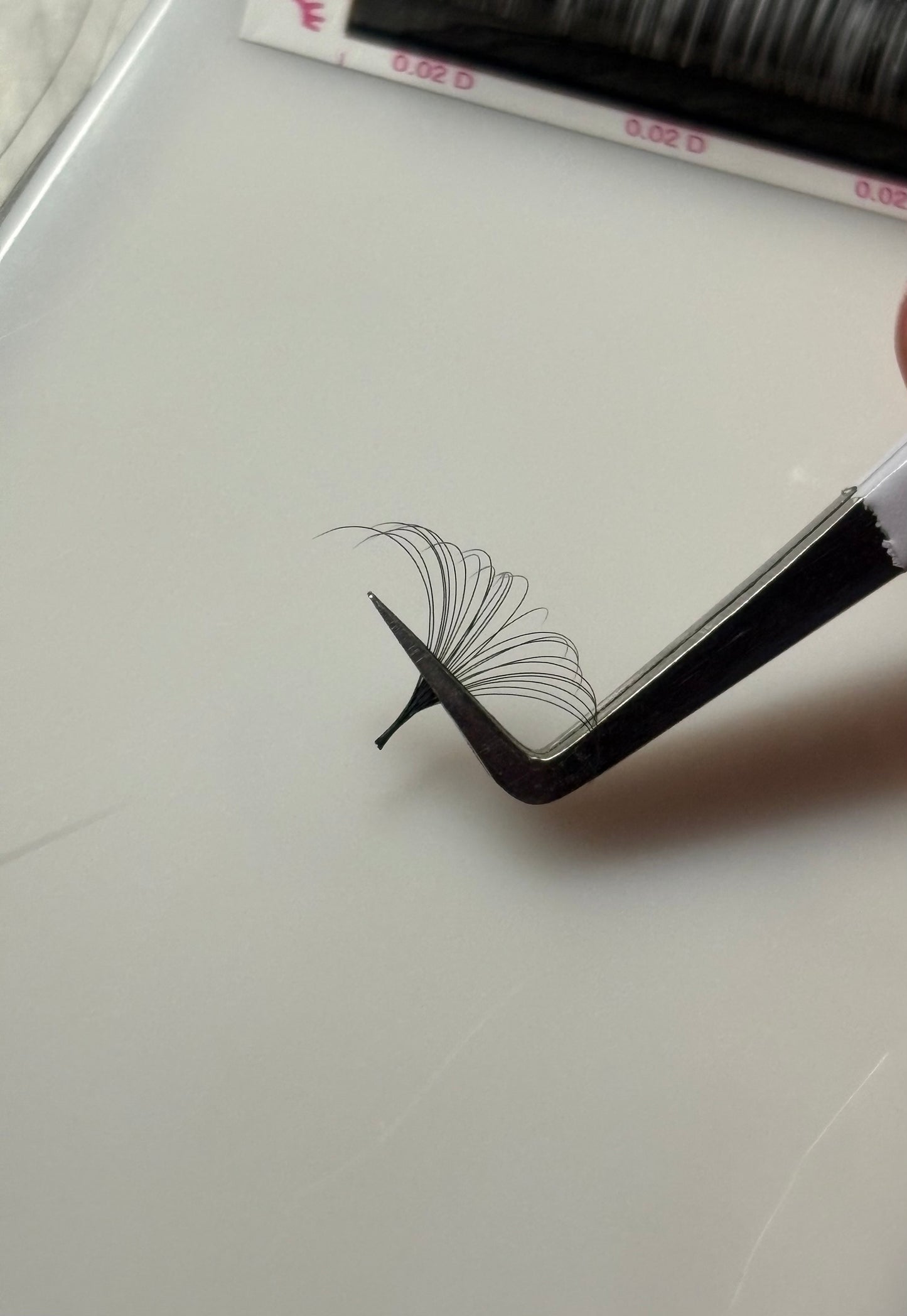 Single Length Lash Trays🖤